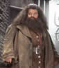 Hagrid