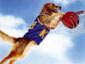 Air Bud