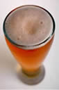 Pint of Beer