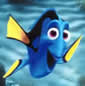 Dory