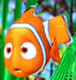 Nemo