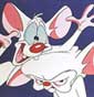 Pinky and the Brain